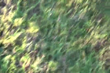 Baise de la gorge de la merde hors de moi pt 2