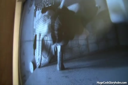 Suçant sa bite dans des toilettes publiques