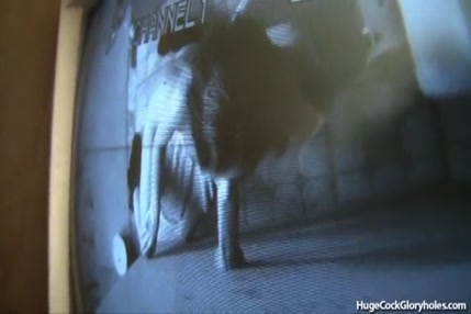 Teen babe baisé dur dans les toilettes publiques